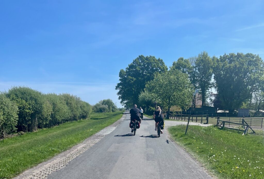 Vegesack Runde Fahrraeder von hinten auf einer Strasse im Blockland Bremen