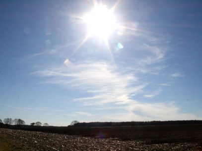 Der Frühling lockt