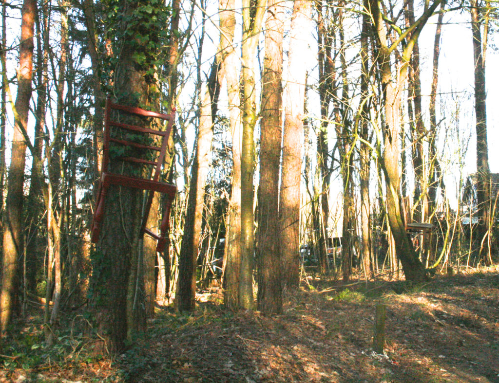 Hanni Hase Wald bei Ostereistedt