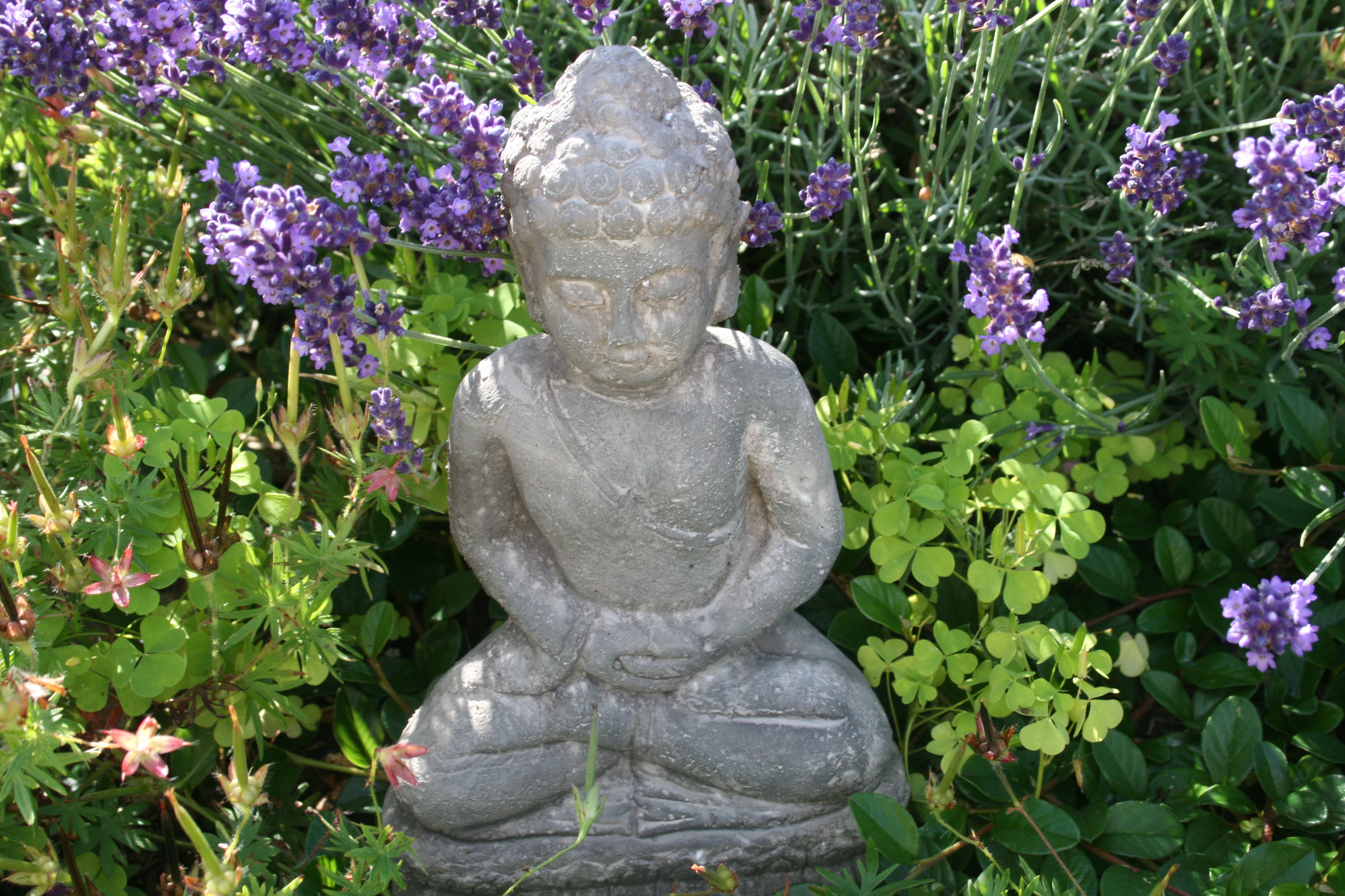 Wellness Buddha