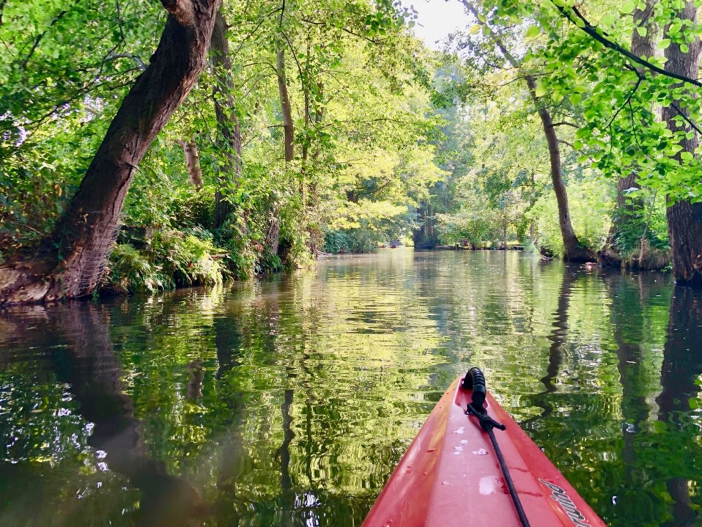 Paddeln im Spreewald