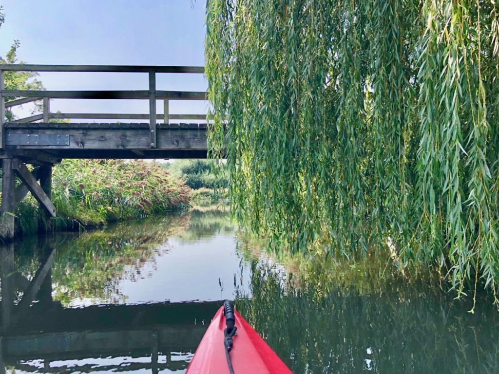 Paddeltour im Spreewald