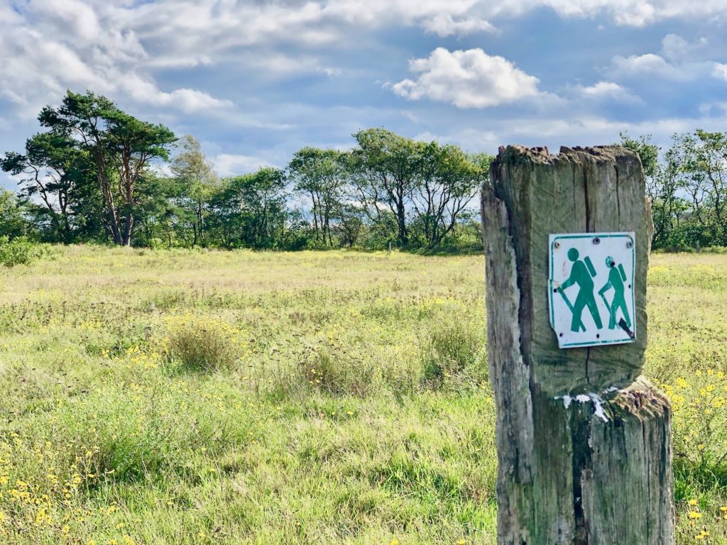 Nordsee Wandern: durch Wiesen und Felder