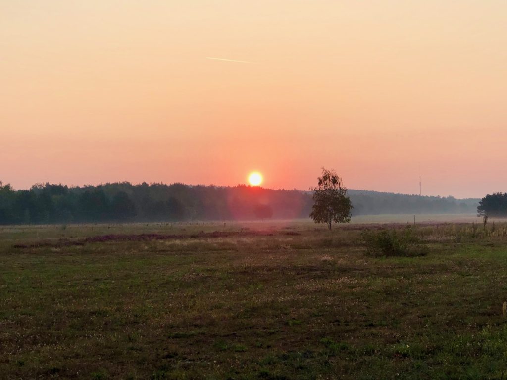 Sonnenaufgang Spreewald