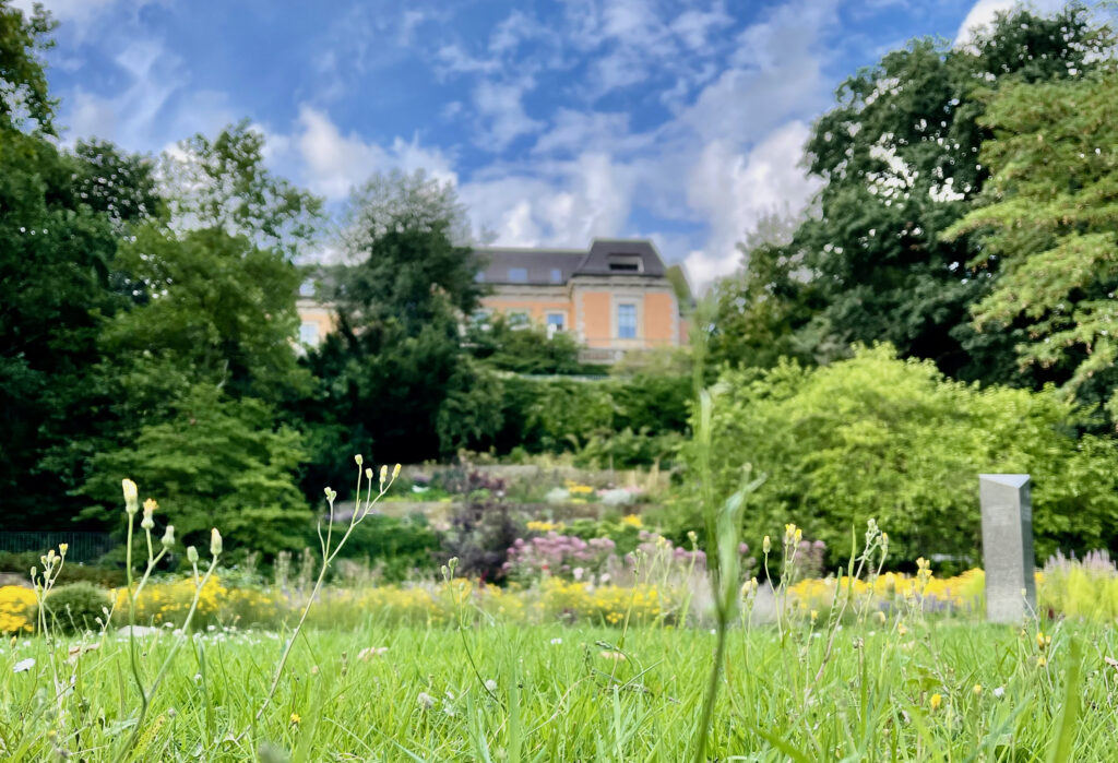Stadtgarten Vegesack Blick ueber den Rasen und durch die Beete hinauf zu den Herrenhaeusern hinter dem Stadtgarten 