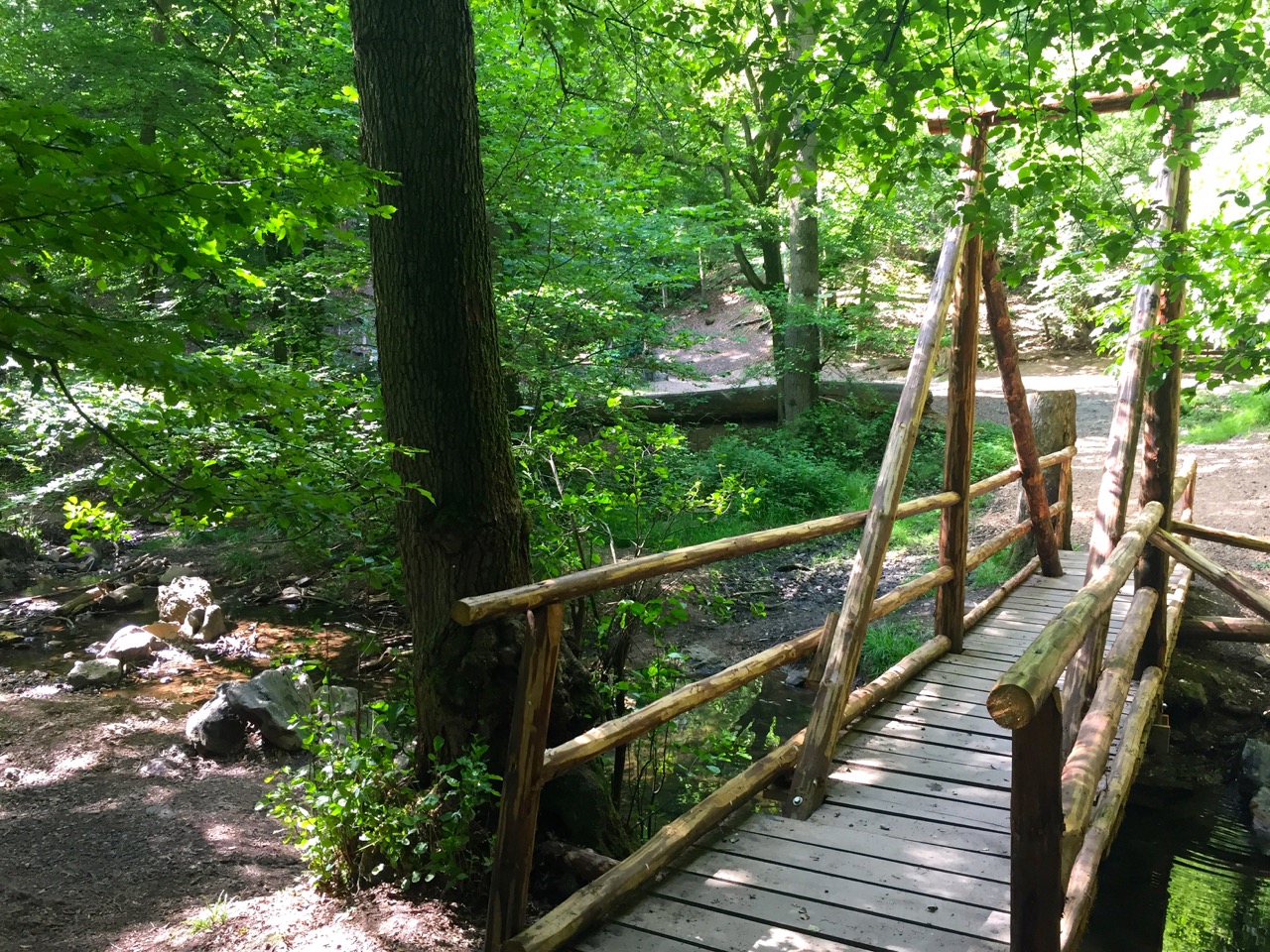 Weg in die Steckenschlaeaeferklamm