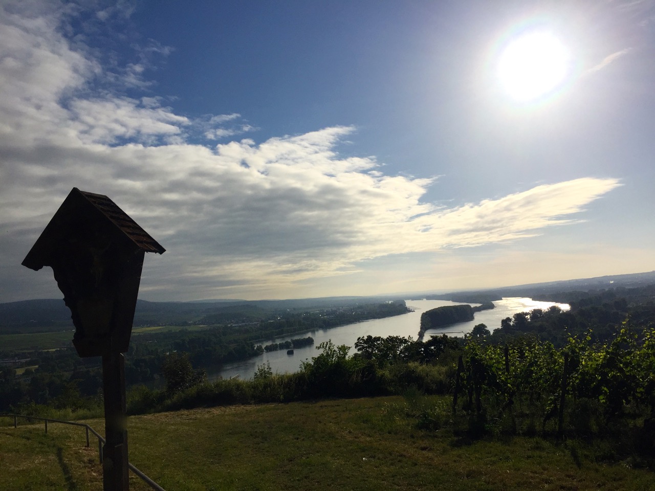 Blick auf Bingen