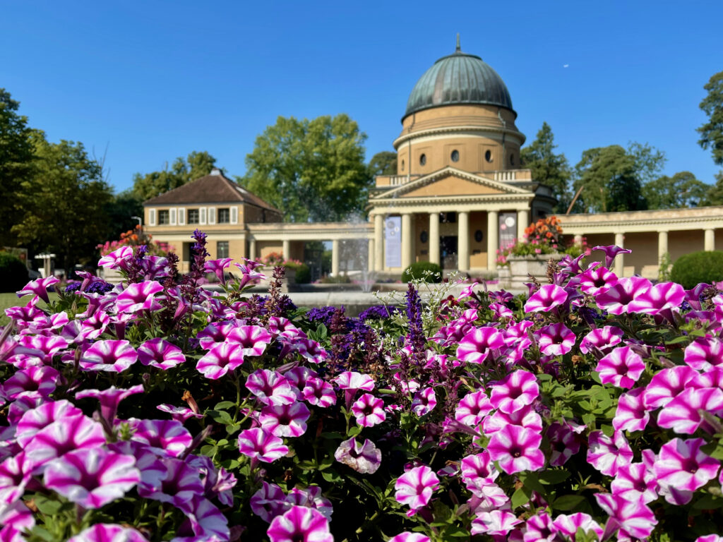 Waldfriedhof Darmstadt, noch ein echter Geheimtipp in Darmstadt
