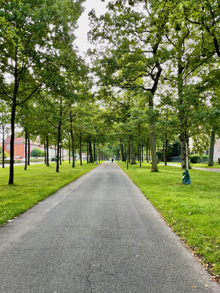 Grosse Allee Bad Arolsen