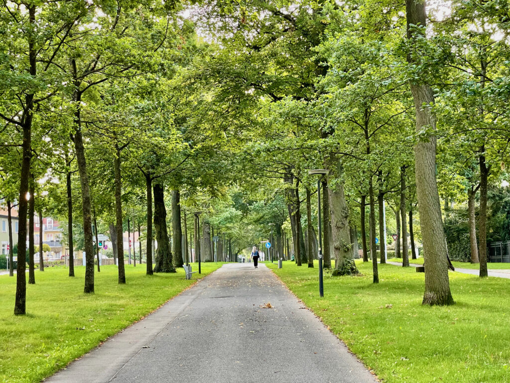 Grosse Allee Bad Arolsen