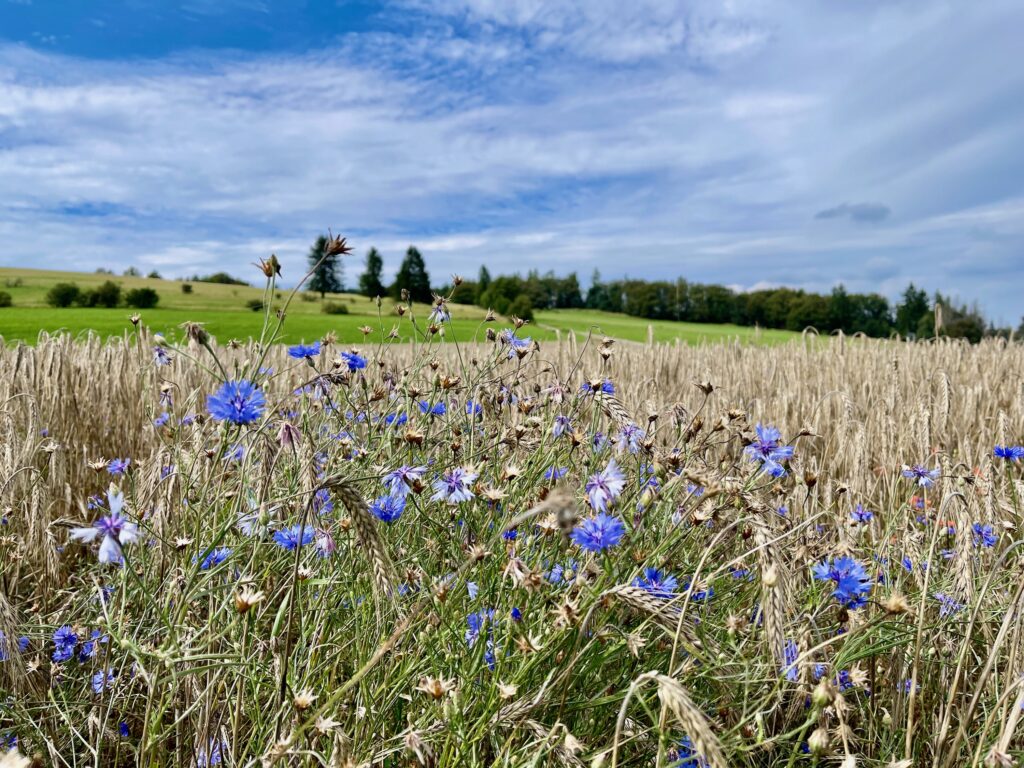 Sauerland Seelenorte