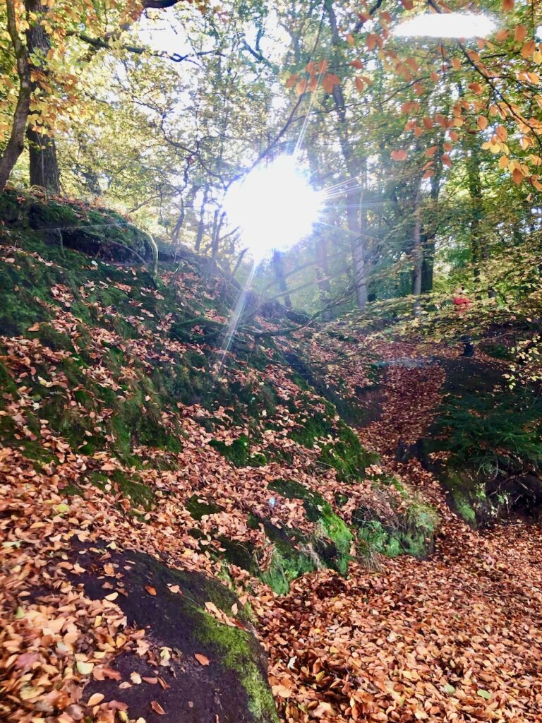 Ausflugsziele Schleswig Holstein