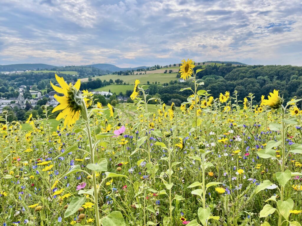 Pilgern im Sauerland