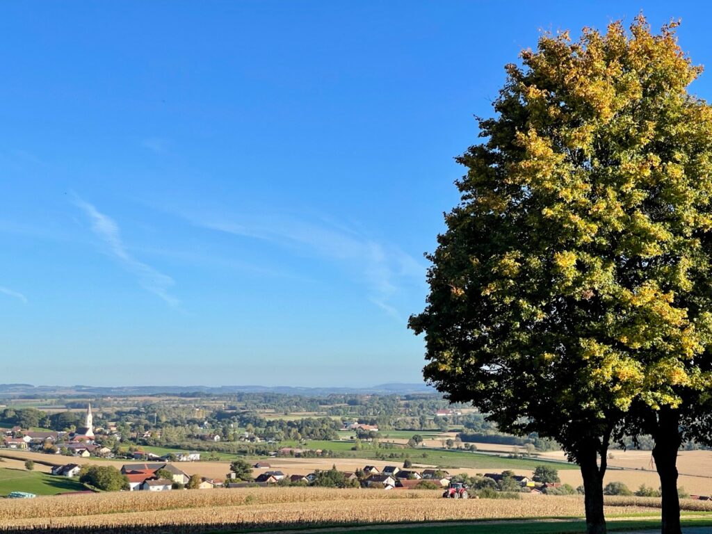 Bayerische Toskana