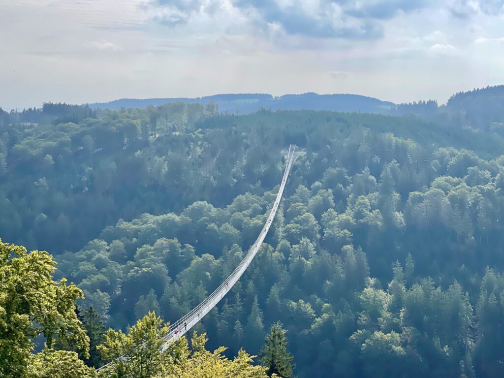 Aussicht aus dem Adlerhorst Willingen Muehlenkopfschanze