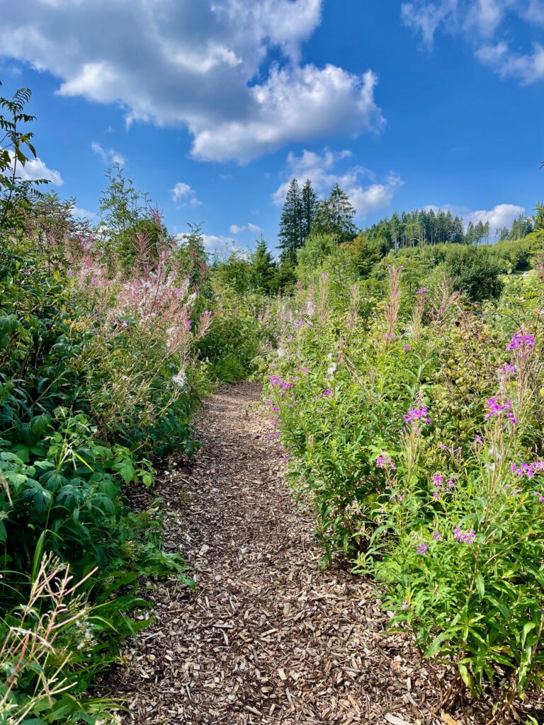 Wanderweg Willingen