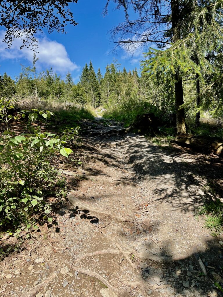 Rundwanderweg Diemelquelle