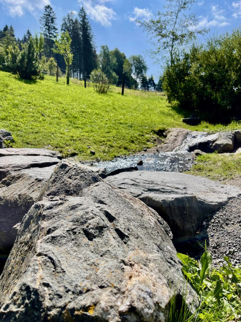 Diemelquelle Willingen Sehenswuerdigkeiten