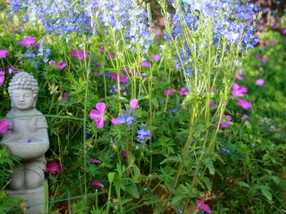 Blick in den SPANESS-Garten