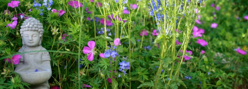 Blick in den SPANESS-Garten