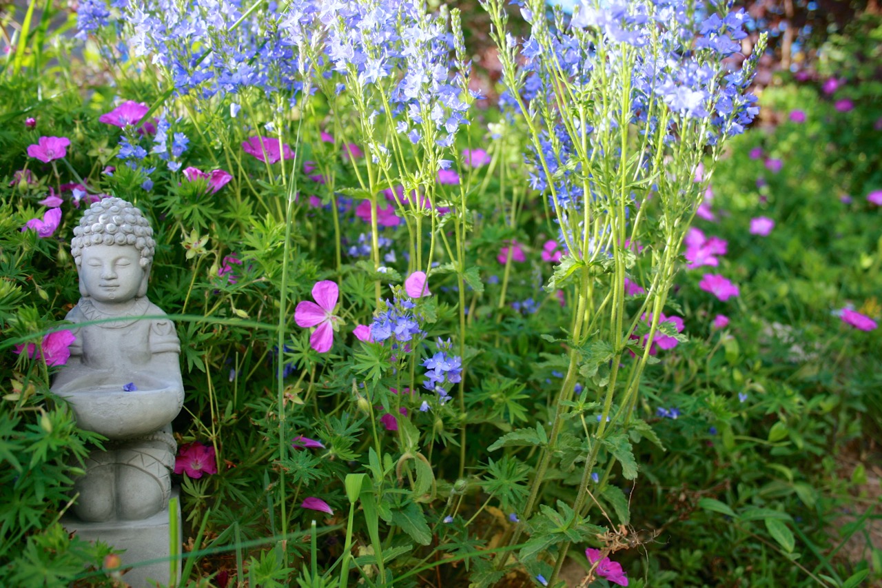 Blick in den SPANESS-Garten