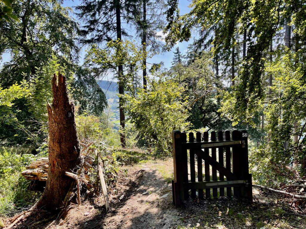 Sauerland Seelenort Schwalenburg