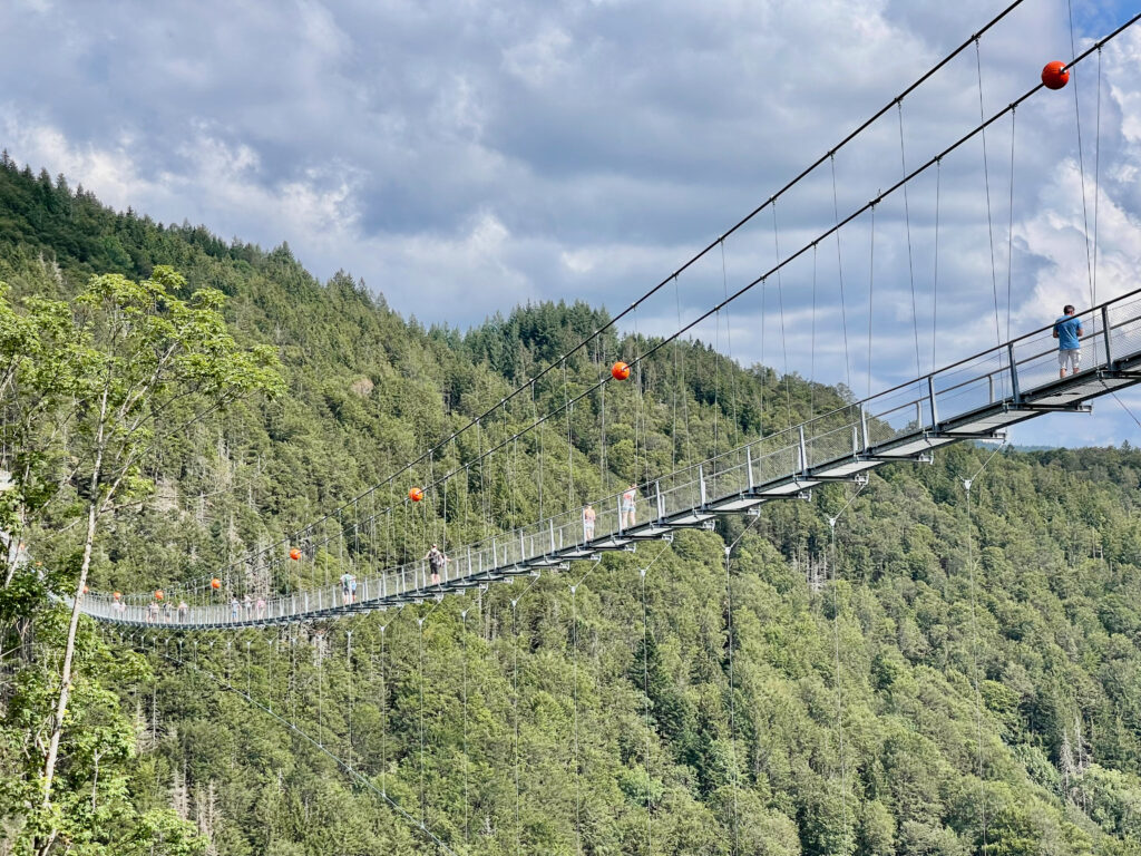 Haengebruecken Deutschland, Haengeseilbruecken im Schwarzwald