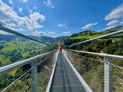Haengebruecken Deutschland, BlackForestLine Schwarzwald