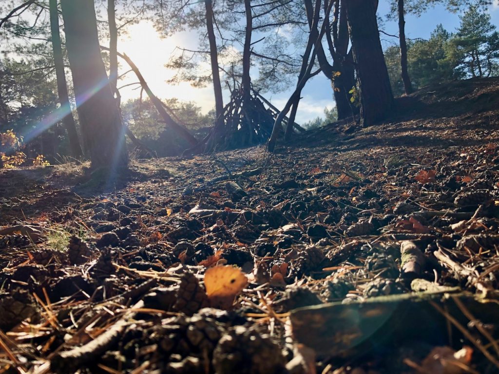 Bremen Wandern Warwer Sand