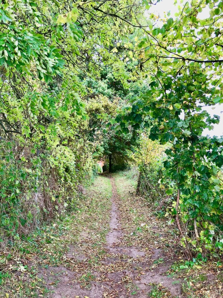 Wanderung Westensee Schleswig Holstein