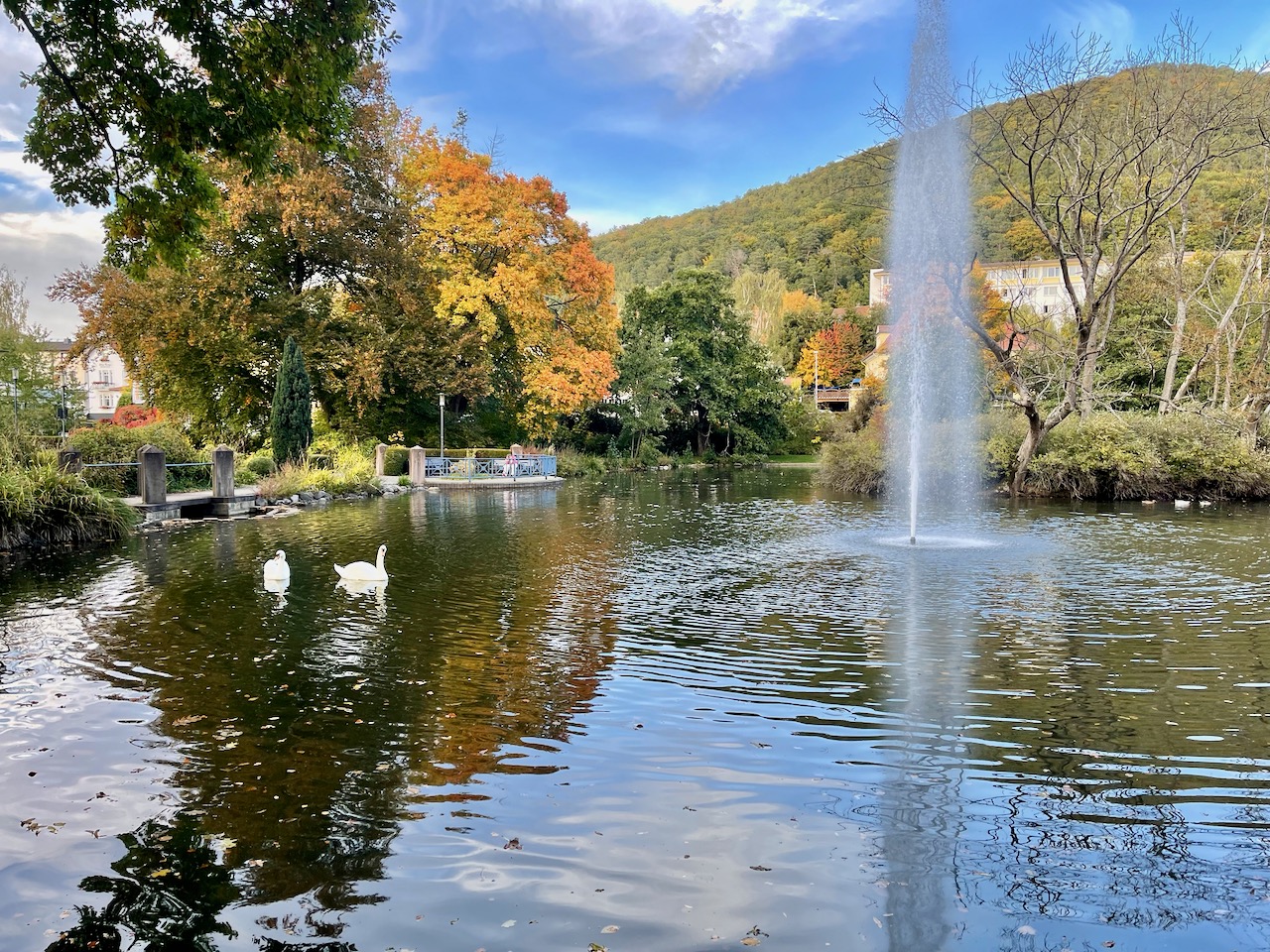 Bad Wildungen Kurpark Wellness & mehr