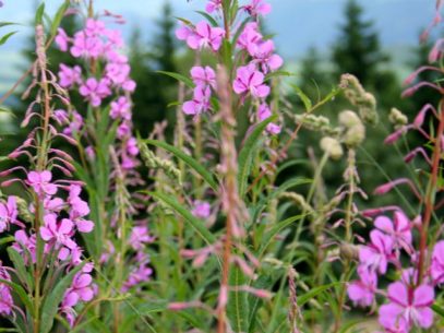 Sauerland-Wellness