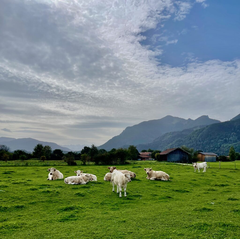 Chiemgau Sehenswuerdigkeiten