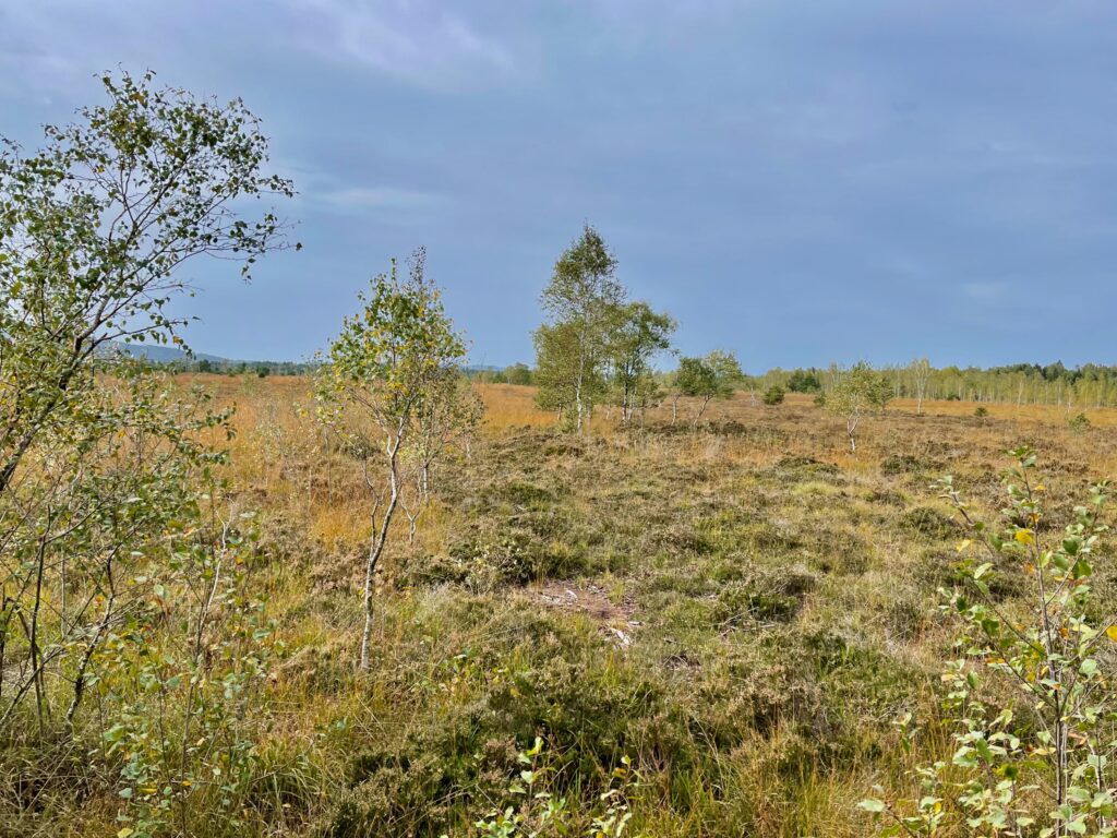 Hochmoor Chiemgau