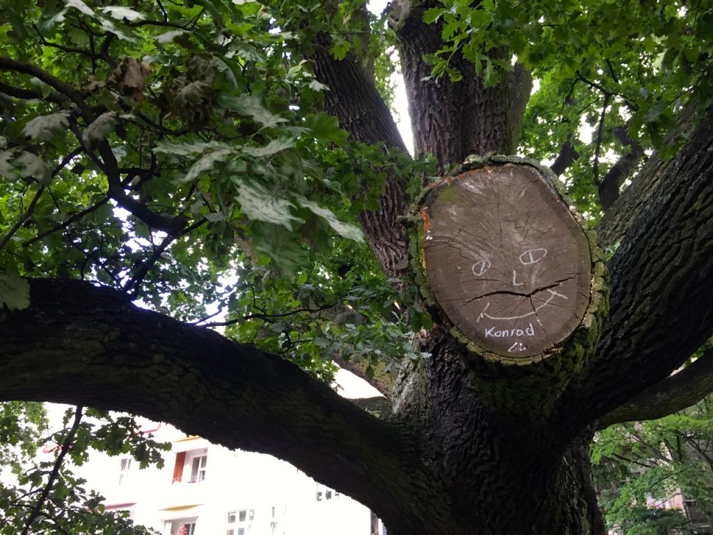 Entdeckungen entlang des roten Fadens in Stettin