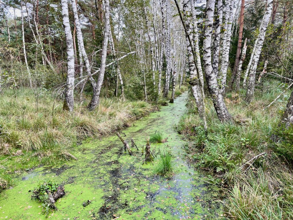 Kendlmuehlfilze Chiemgau Sehenswuerdigkeiten