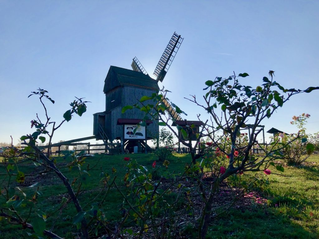 Elbe Elster: Miniaturpark Kleine Lausitz