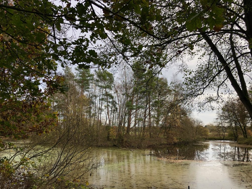 Wandern auf Nordpfaden