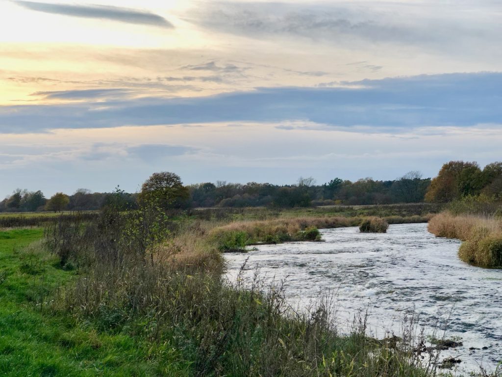 Nordpfad Wuemmeniederung