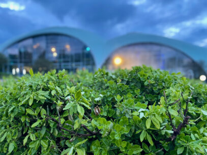Toskana Therme Bad Sulza Aussenaufnahme zum Sonnenuntergang aus dem Sauna Garten