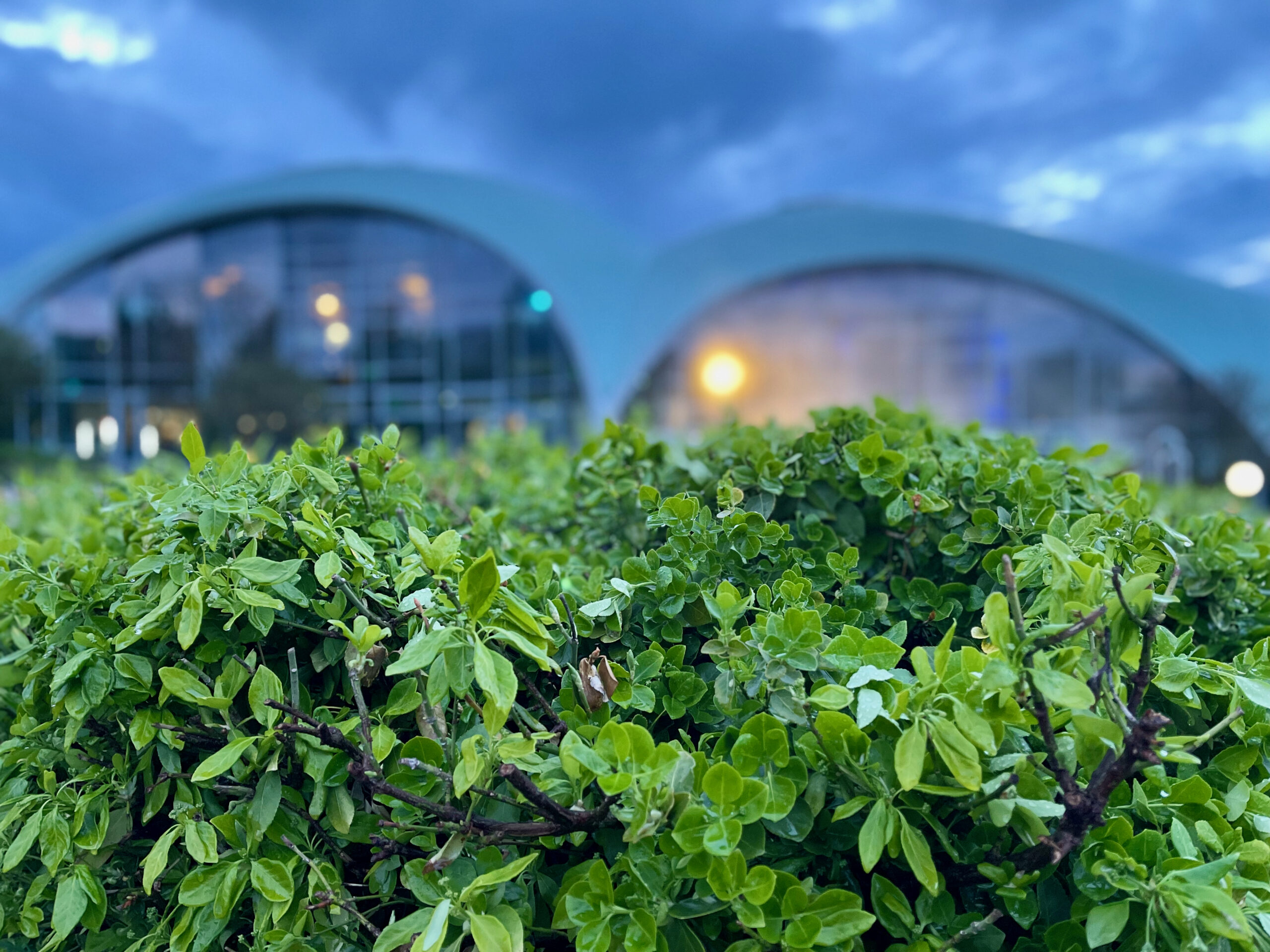 Toskana Therme Bad Sulza: Glück und Gesundheit treffen auf entspannte Wellnessmomente