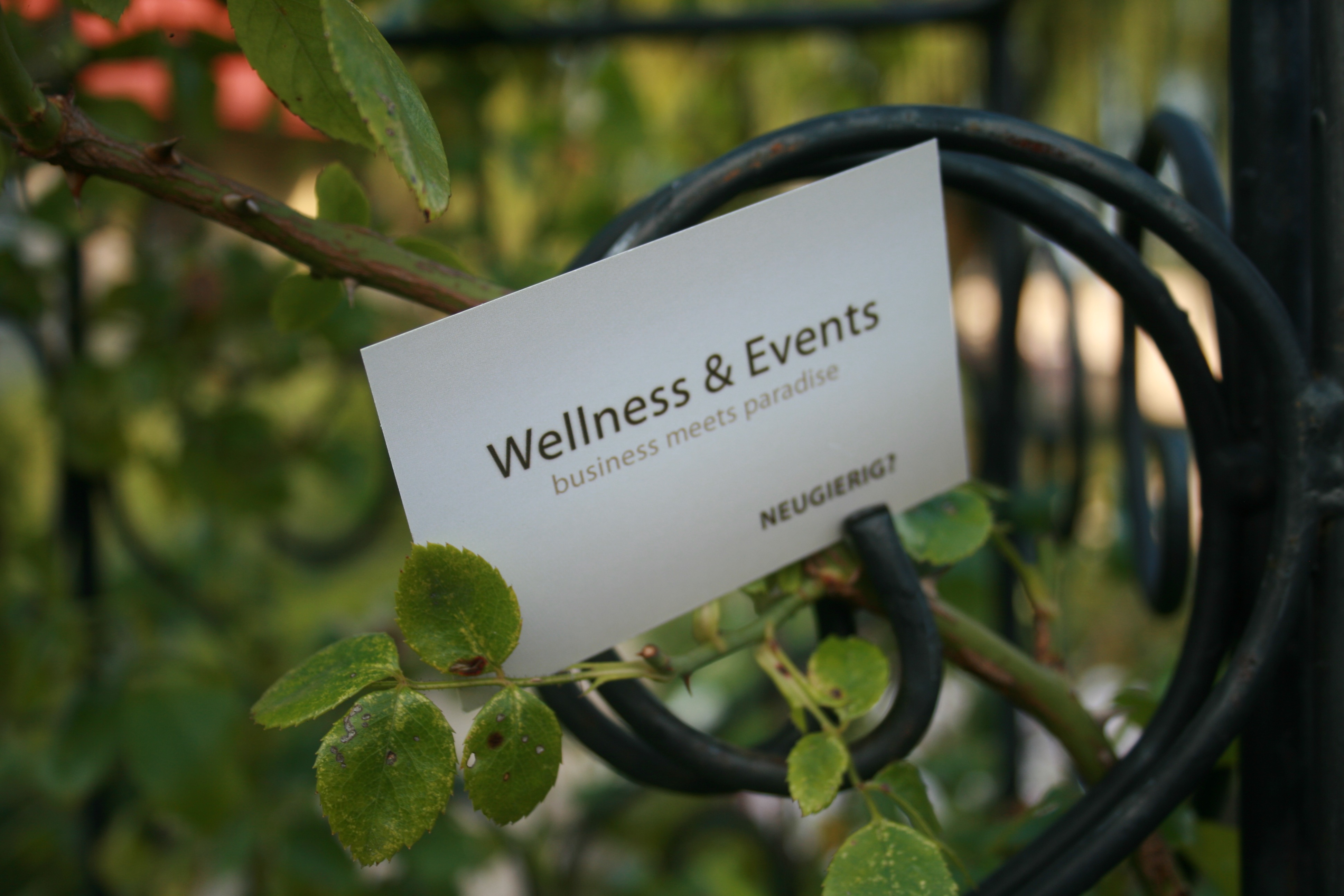 Wellness & Event Location auf spaness.de