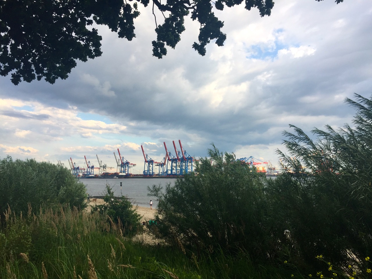 Blick auf den Hafen vom Elbstrand