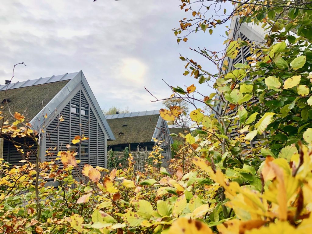 Alkmaar Ferienhaus Duynvoet Park Schoorl