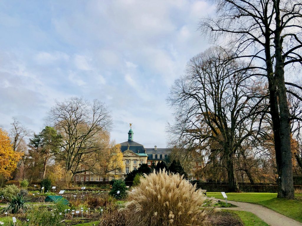 Blick aus dem Botanischen Garten Muenster zum Schloss Muenster