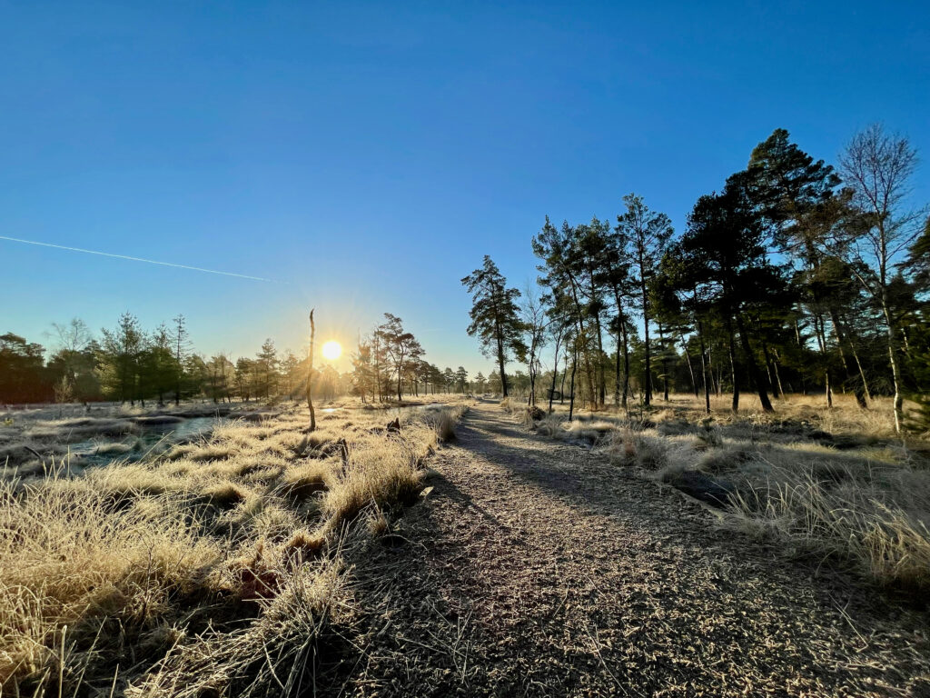 Tagesausflug Niedersachsen