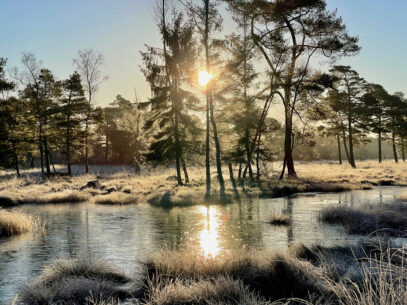 Tagesausflug Niedersachsen Tister Bauernmoor