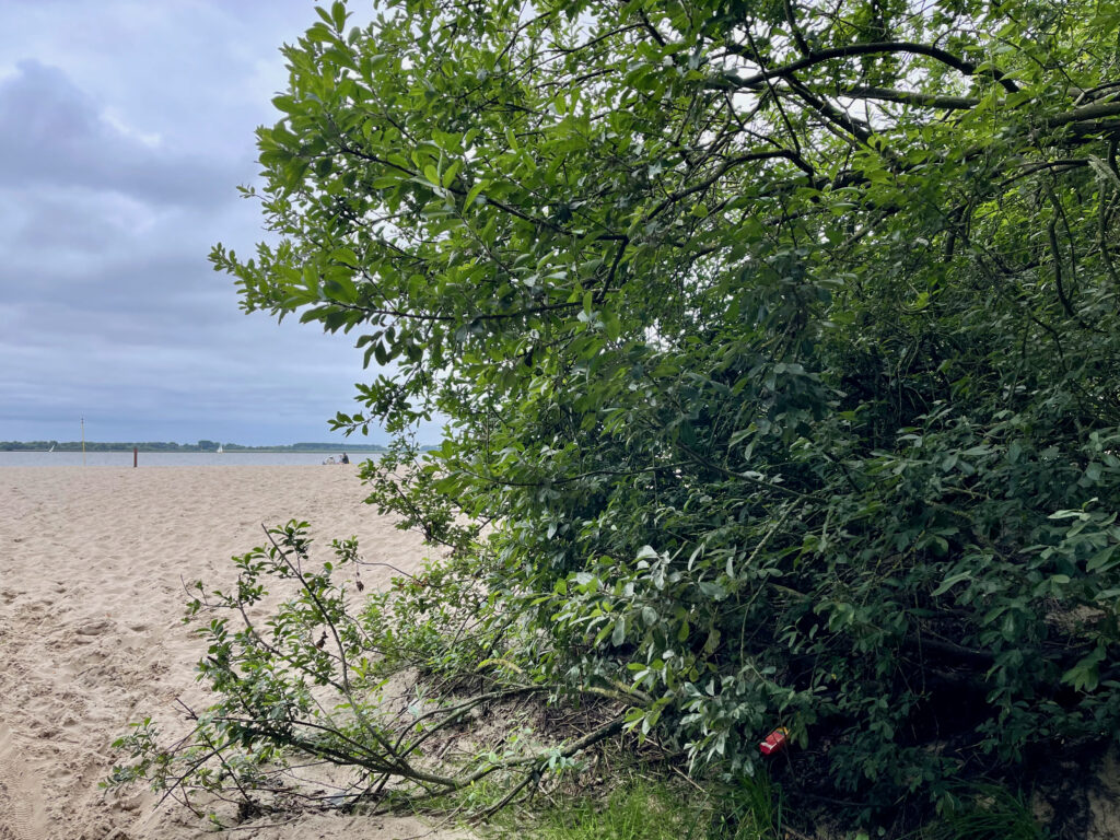 Strand in Hamburg, am Elbstrand im Alten Land