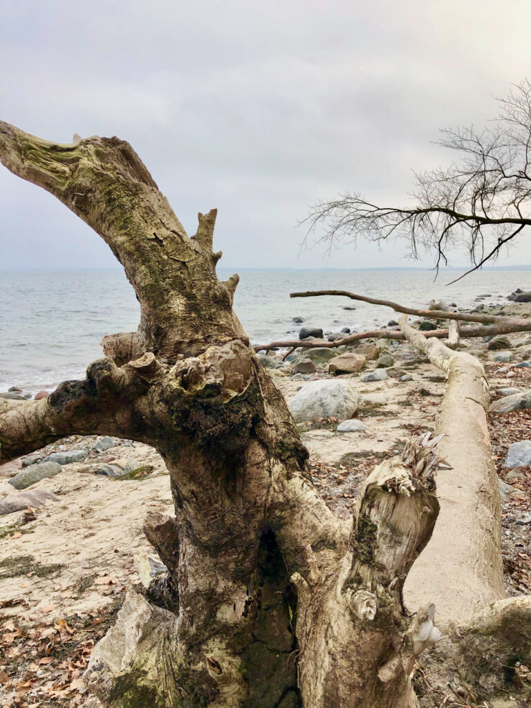 Brodtener Steilufer Wanderweg