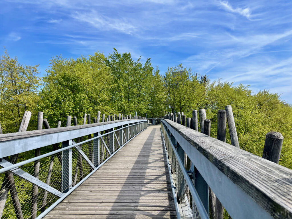 Unterwegs auf dem Baumwipfelpfad Bad Iburg